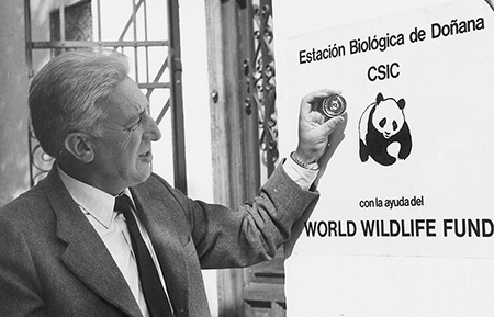 Un Panda en España